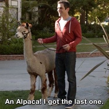 Phil from Modern Family buying an alpaca with a loyalty program