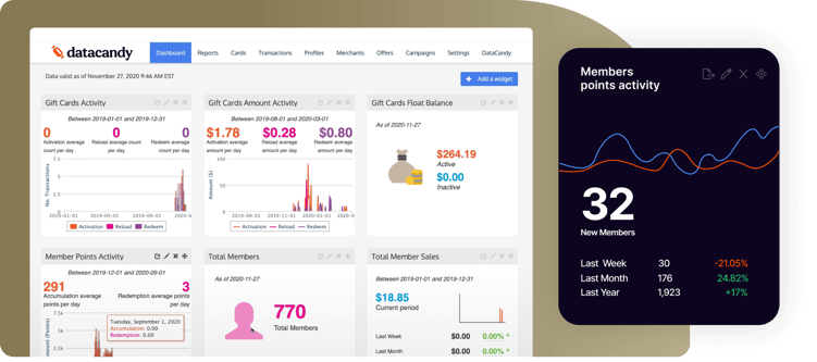 DataCandy's loyalty program insights dashboard