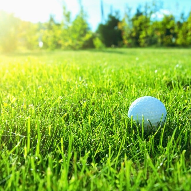 golf course